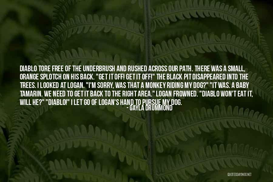 Kanitz Estojo Quotes By Gayla Drummond Kanitz Estojo Quotes By Gayla Drummond