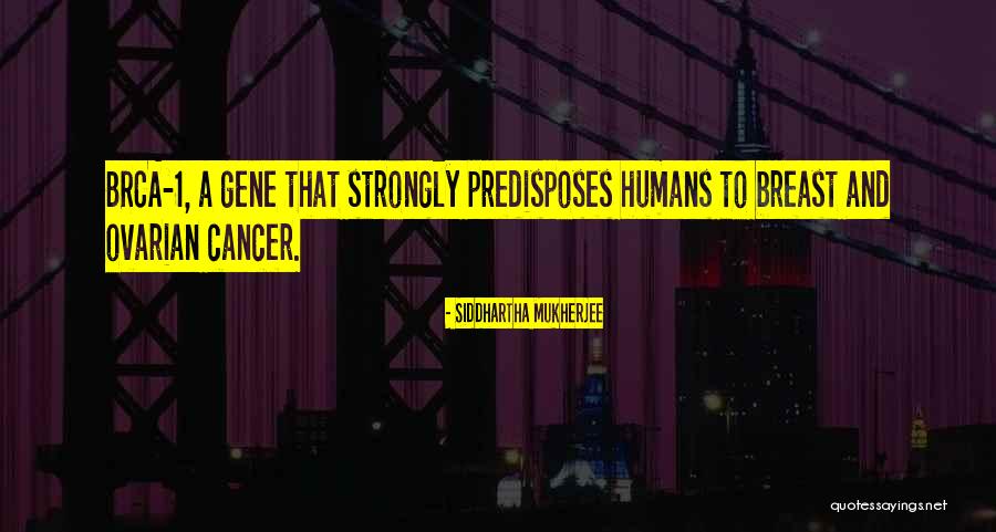 Kanjuro Shibata Quotes By Siddhartha Mukherjee Kanjuro Shibata Quotes By Siddhartha Mukherjee