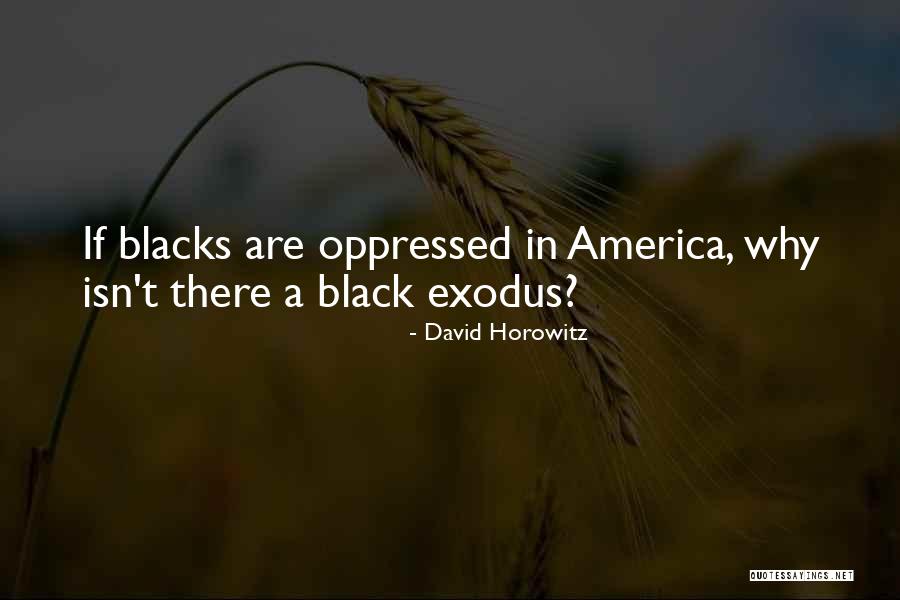 Kannika Jenkins Quotes By David Horowitz Kannika Jenkins Quotes By David Horowitz
