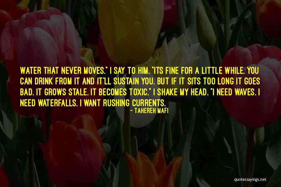 Kanury Md Quotes By Tahereh Mafi