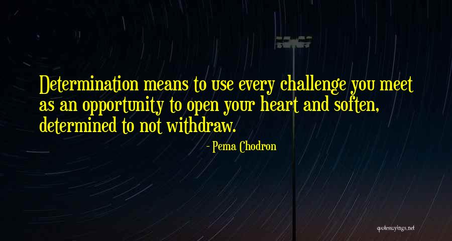 Kanvas Fabrics Quotes By Pema Chodron Kanvas Fabrics Quotes By Pema Chodron