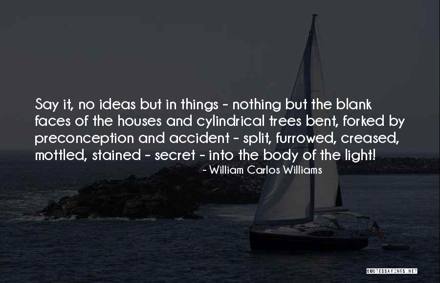 Kanwarpal Dhaliwal Quotes By William Carlos Williams Kanwarpal Dhaliwal Quotes By William Carlos Williams