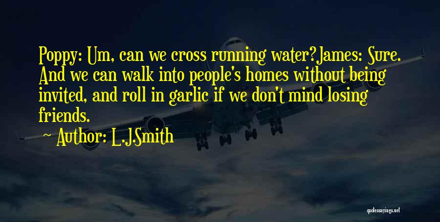 Kanwarpal Singh Quotes By L.J.Smith