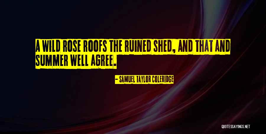 Kaplanis Field Quotes By Samuel Taylor Coleridge Kaplanis Field Quotes By Samuel Taylor Coleridge