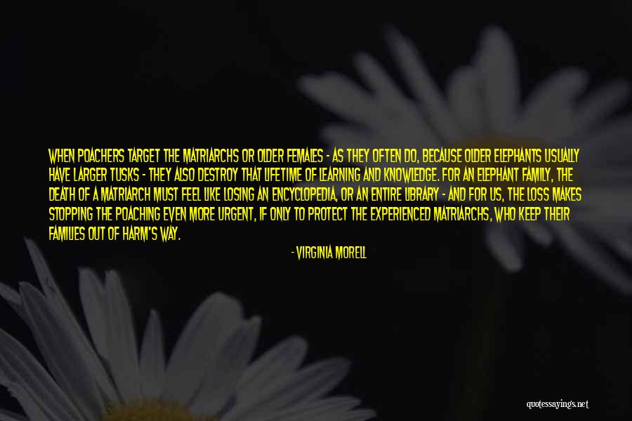 Kaplansky Dentistry Quotes By Virginia Morell Kaplansky Dentistry Quotes By Virginia Morell