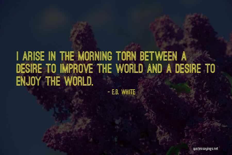 Kaprekar Quotes By E.B. White Kaprekar Quotes By E.B. White