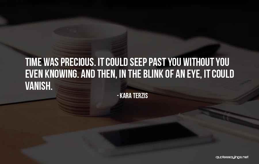 Kara Terzis Quotes 1897809