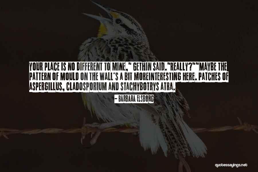 Karabiberim Quotes By Barbara Elsborg Karabiberim Quotes By Barbara Elsborg