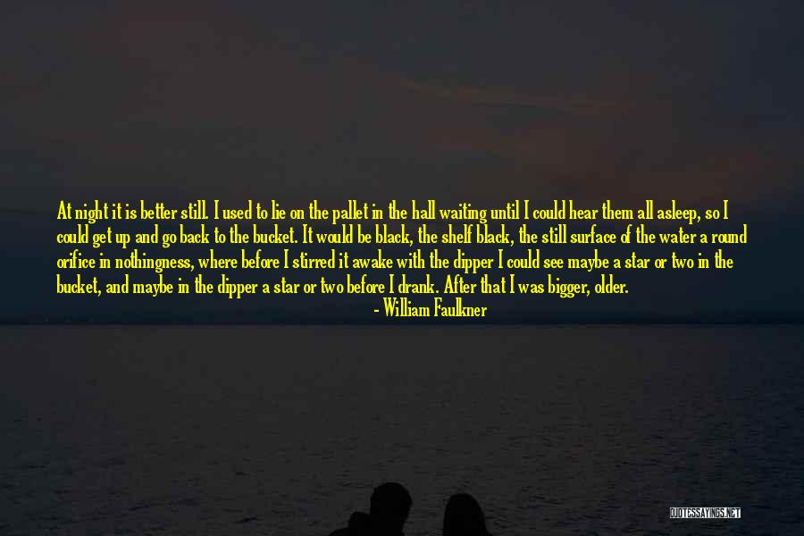 Karakulak Hayvani Quotes By William Faulkner Karakulak Hayvani Quotes By William Faulkner