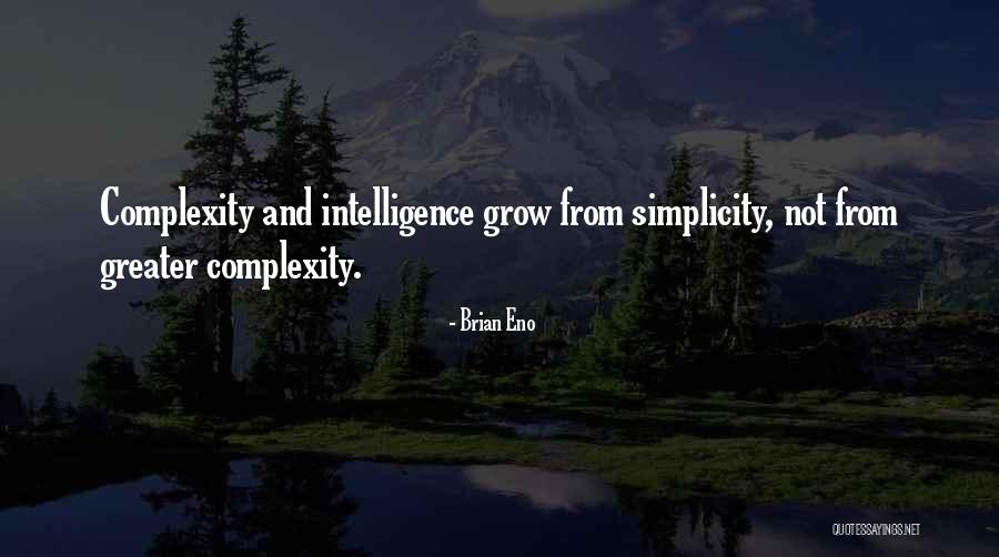 Karaoui Jsk Quotes By Brian Eno