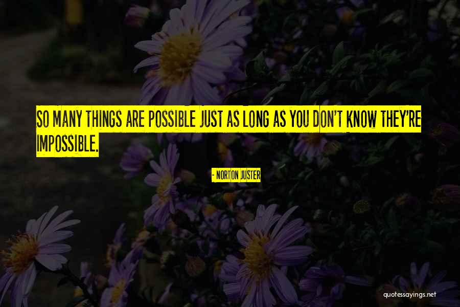Karasimsek Yemegi Quotes By Norton Juster Karasimsek Yemegi Quotes By Norton Juster
