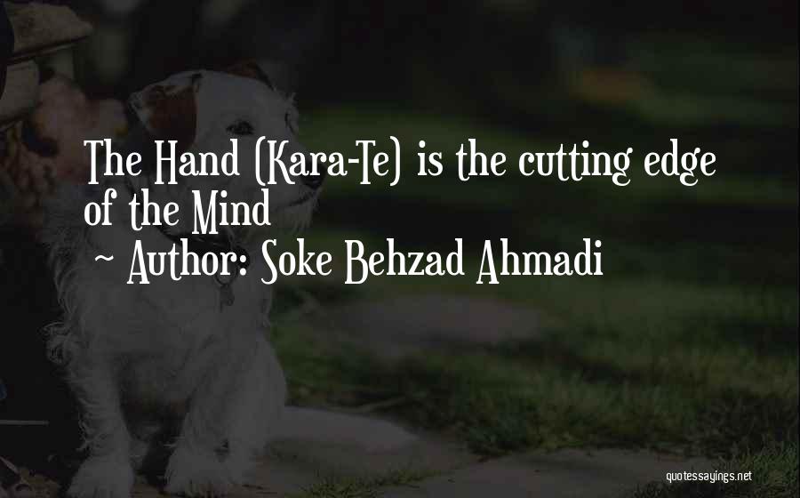 Karate Chop Quotes By Soke Behzad Ahmadi