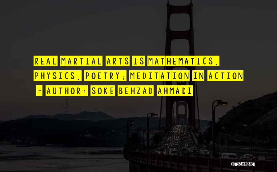 Karate Sensei Quotes By Soke Behzad Ahmadi