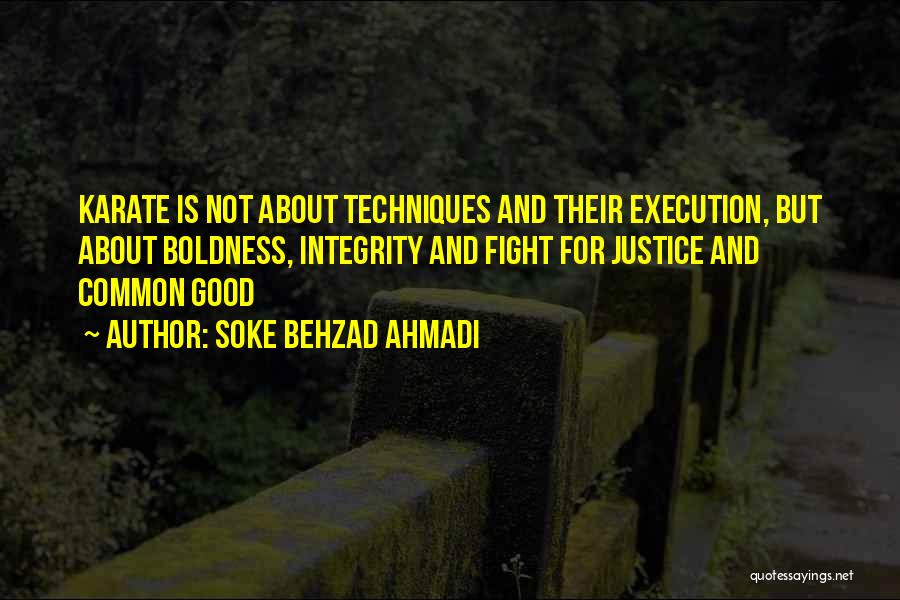 Karate Sensei Quotes By Soke Behzad Ahmadi