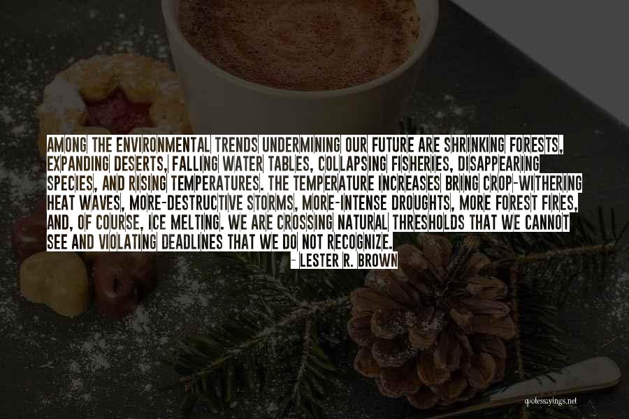 Karatsuba Quotes By Lester R. Brown Karatsuba Quotes By Lester R. Brown