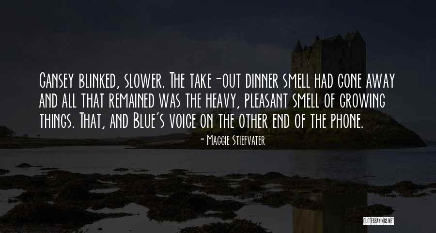 Karawane Reisen Quotes By Maggie Stiefvater Karawane Reisen Quotes By Maggie Stiefvater