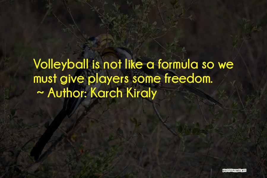 Karch Kiraly Quotes 376051