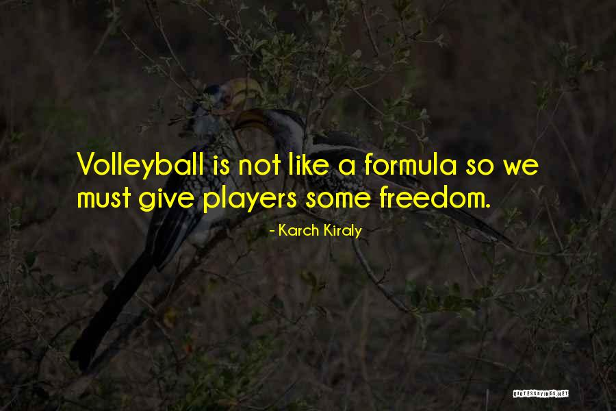 Karch Kiraly Quotes 376051 Karch Kiraly Quotes 376051