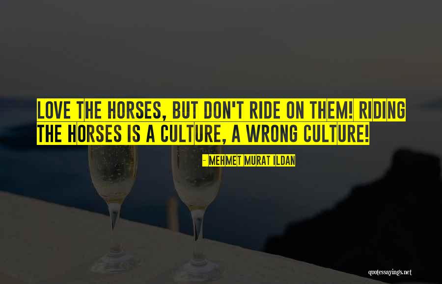 Kardani Indjija Quotes By Mehmet Murat Ildan Kardani Indjija Quotes By Mehmet Murat Ildan