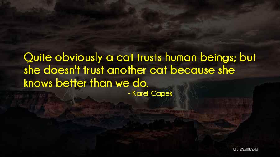 Karel Capek Quotes 1164561