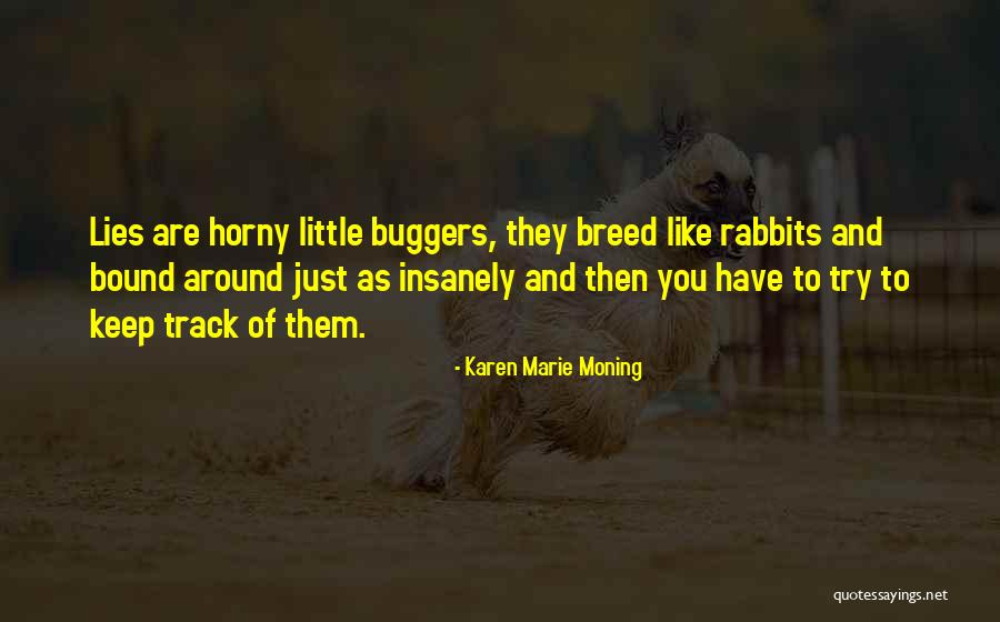 Karen Marie Moning Quotes 1938559