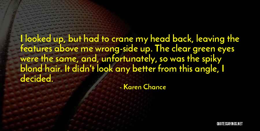 Karen Off With Your Hair Quotes By Karen Chance Karen Off With Your Hair Quotes By Karen Chance