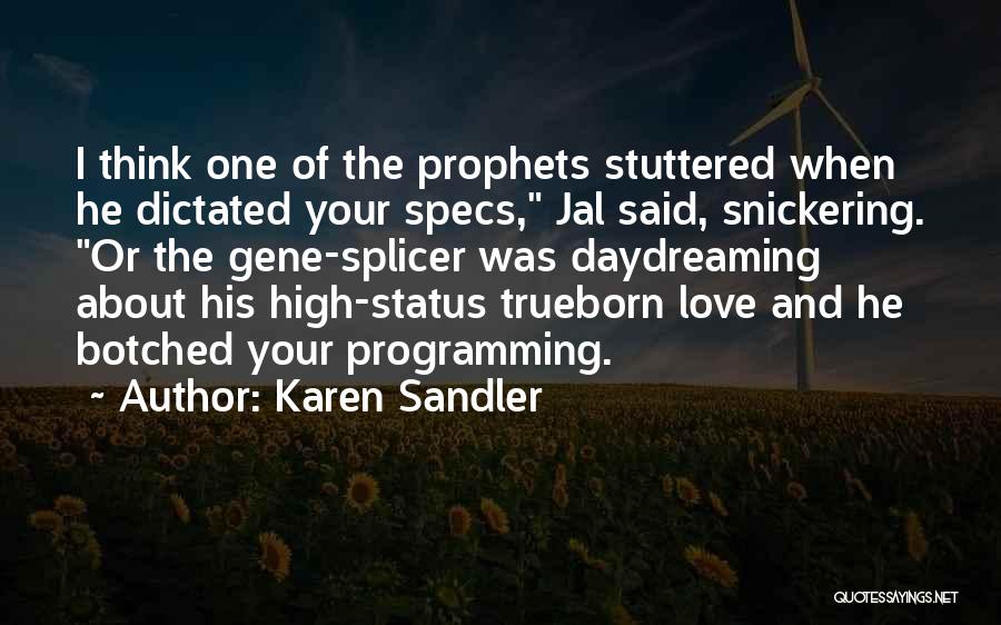 Karen Sandler Quotes 271957