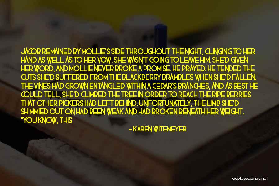 Karen Witemeyer Quotes 1848801 Karen Witemeyer Quotes 1848801