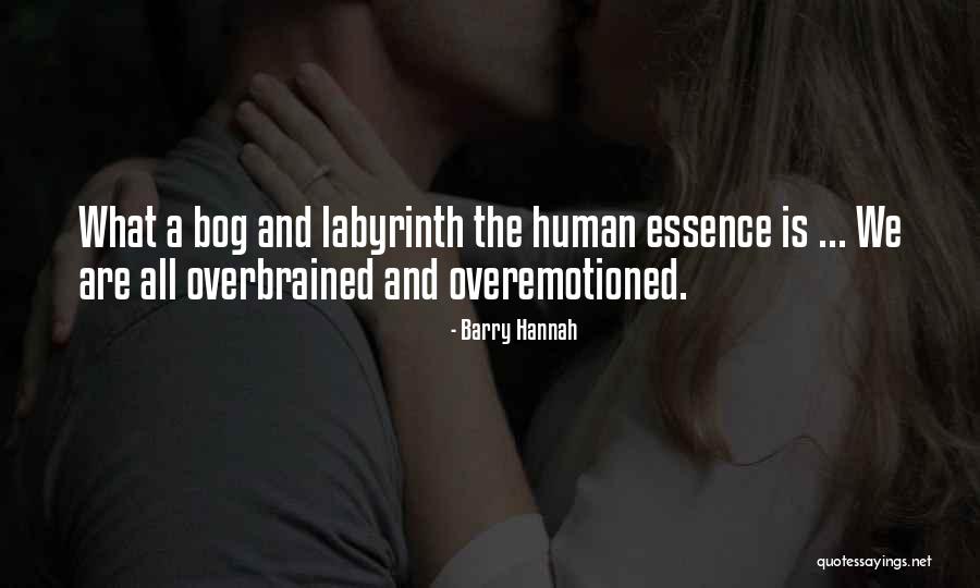 Kareshi Ni Quotes By Barry Hannah Kareshi Ni Quotes By Barry Hannah