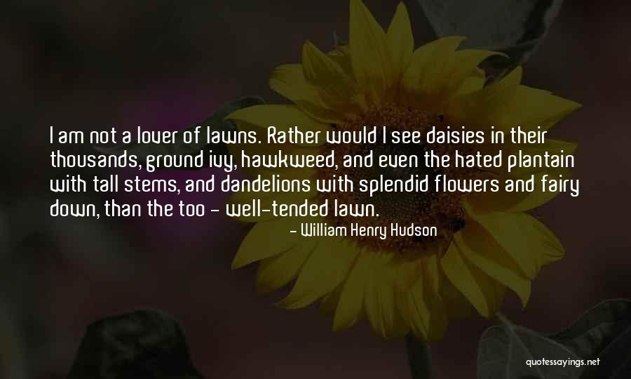Karey Dornetto Quotes By William Henry Hudson Karey Dornetto Quotes By William Henry Hudson