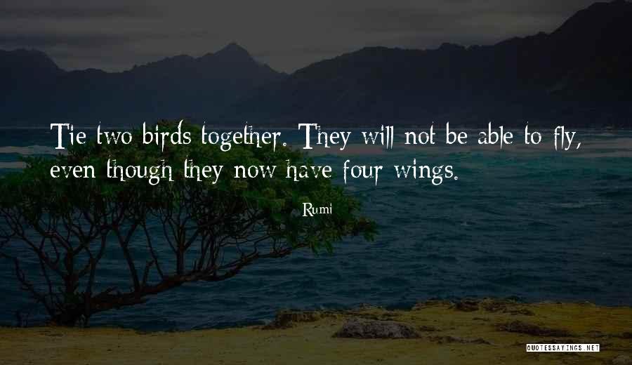 Karigan Prendergast Quotes By Rumi