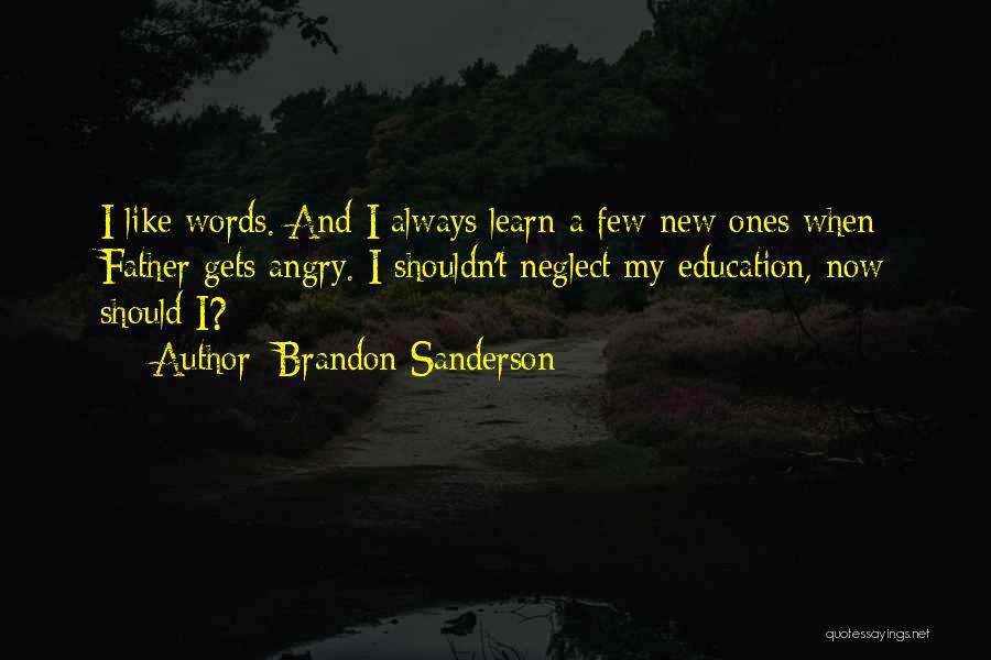 Karikatur Quotes By Brandon Sanderson