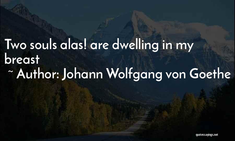 Karl Fuchs Quotes By Johann Wolfgang Von Goethe