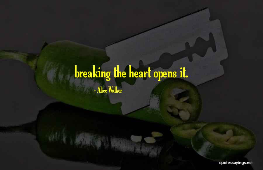 Karl Klements Quotes By Alice Walker Karl Klements Quotes By Alice Walker