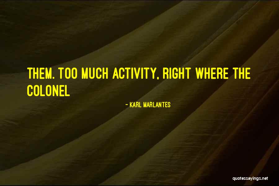 Karl Marlantes Quotes 1467679