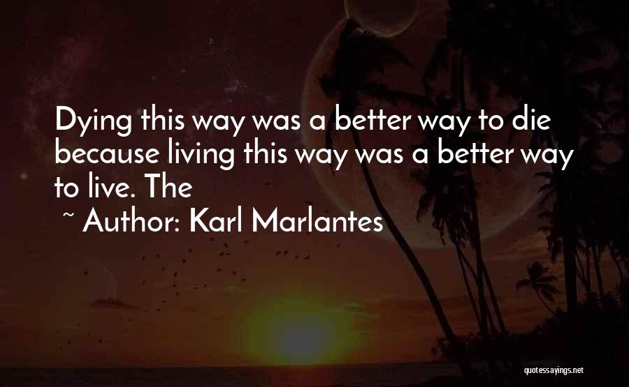 Karl Marlantes Quotes 2232194