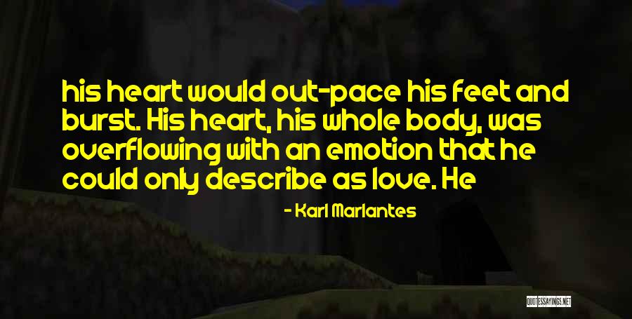 Karl Marlantes Quotes 686629