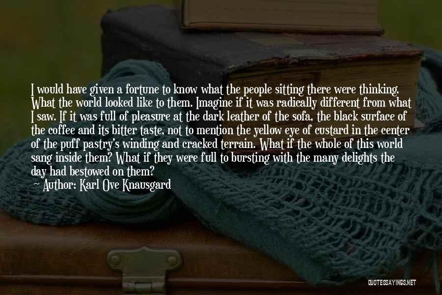 Karl Ove Knausgard Quotes 1818969