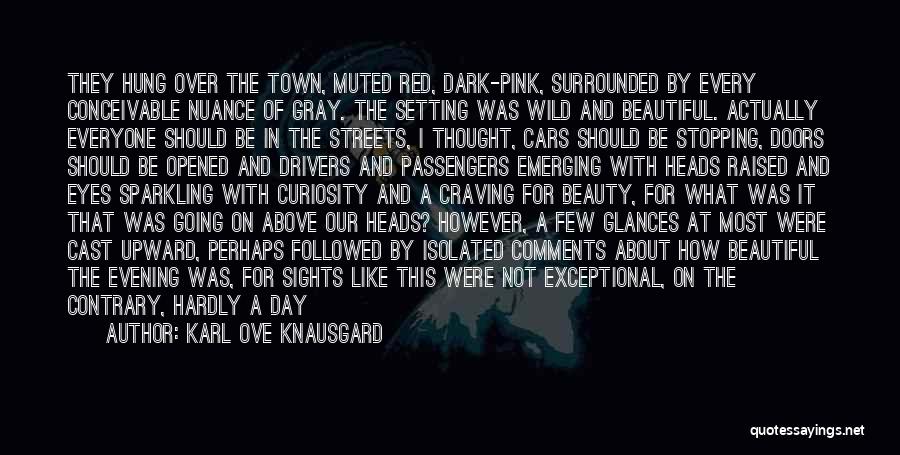 Karl Ove Knausgard Quotes 518361