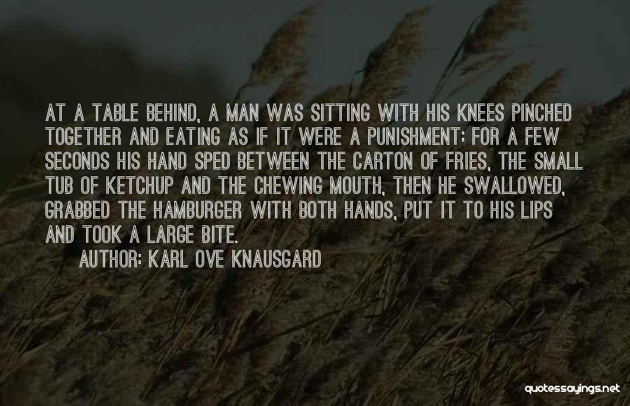 Karl Ove Knausgard Quotes 731255