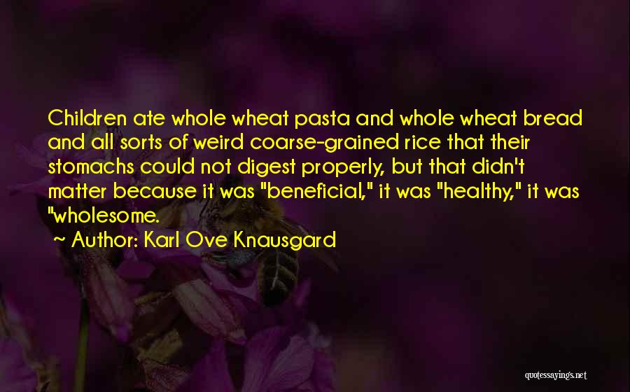 Karl Ove Knausgard Quotes 773970