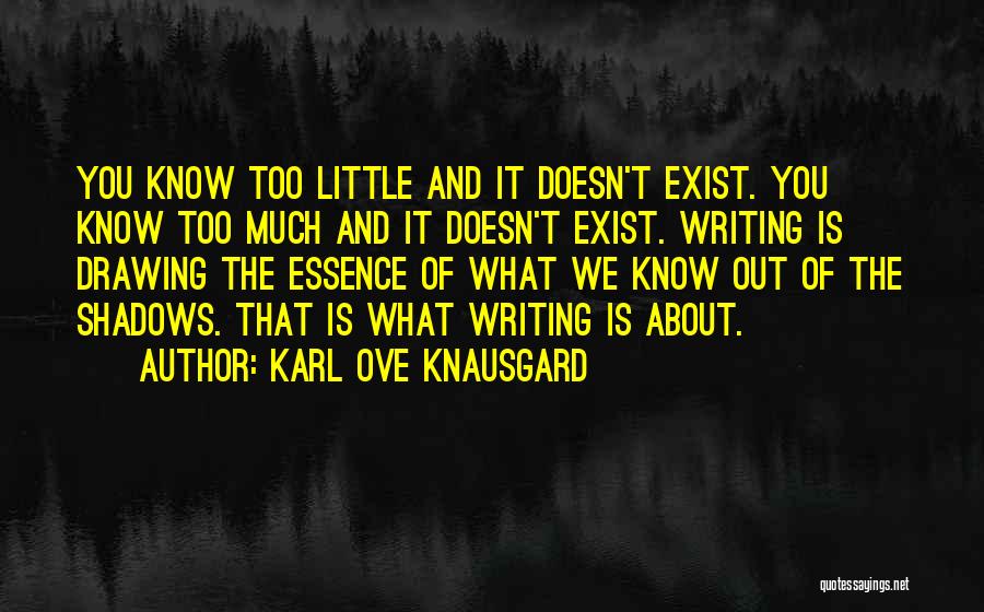 Karl Ove Knausgard Quotes 915640