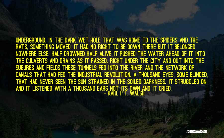Karl P.T. Walsh Quotes 1108415 Karl P.T. Walsh Quotes 1108415
