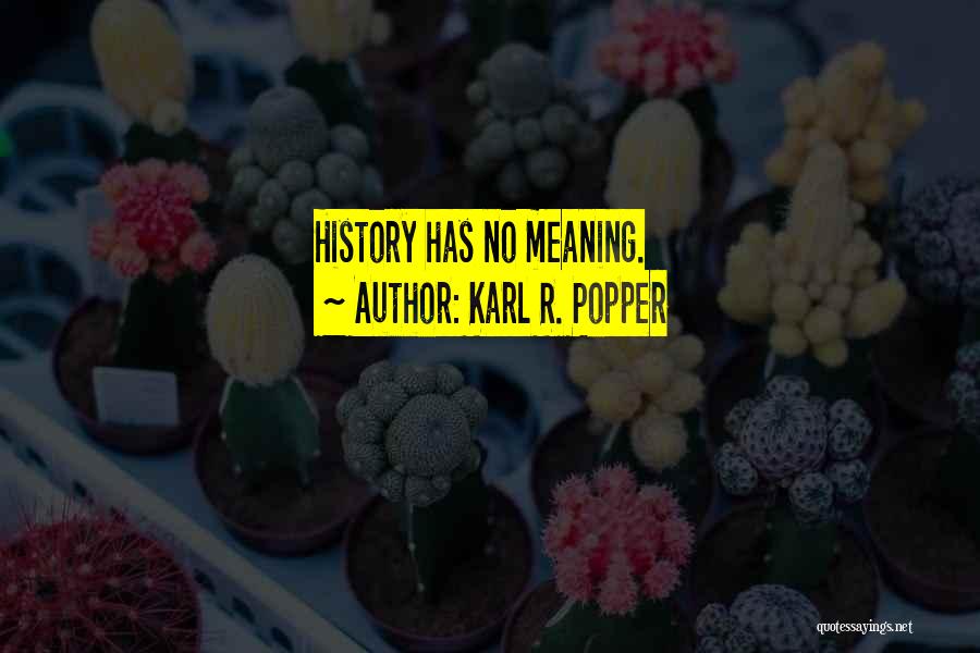 Karl R. Popper Quotes 505972