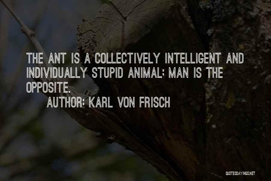 Karl Von Frisch Quotes 1003268