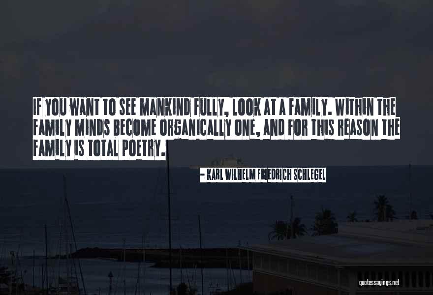 Karl Wilhelm Friedrich Schlegel Quotes 704325