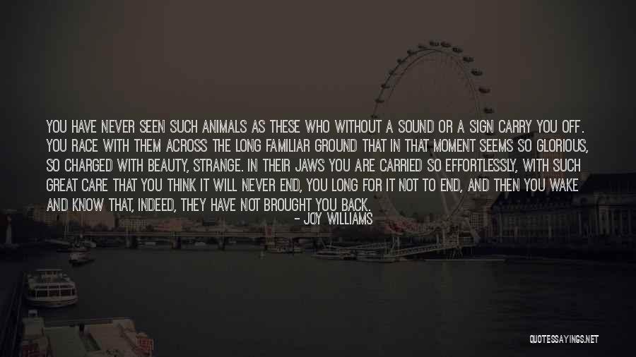 Karleene Schindler Quotes By Joy Williams Karleene Schindler Quotes By Joy Williams