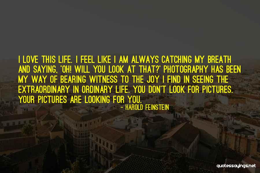 Karleigh Freehill Quotes By Harold Feinstein Karleigh Freehill Quotes By Harold Feinstein