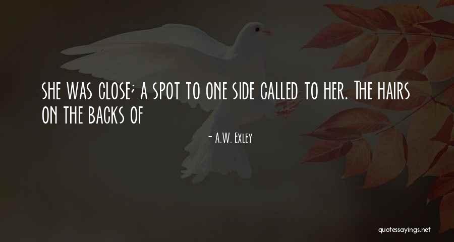 Karlsson P Taket Quotes By A.W. Exley Karlsson P Taket Quotes By A.W. Exley