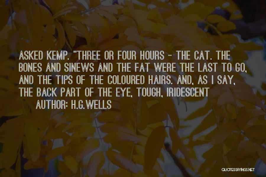 Karlstein Castle Quotes By H.G.Wells